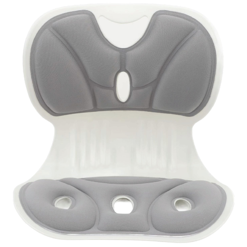 Powerful Ergonomic Lumbar Support Cushion in Bangladesh – Aminsuk
