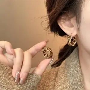 Light Luxury Style Stone-Set Earrings